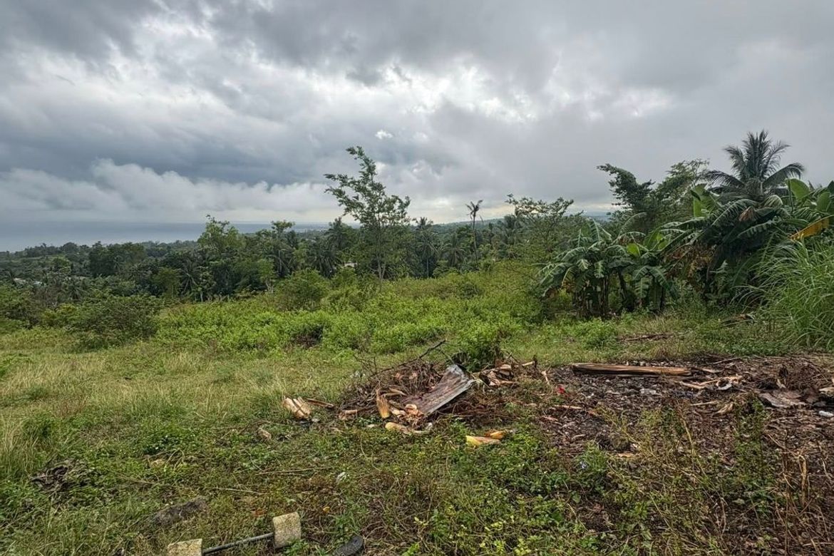 Land for Sale in Poblacion, Argao, Cebu – photo 7