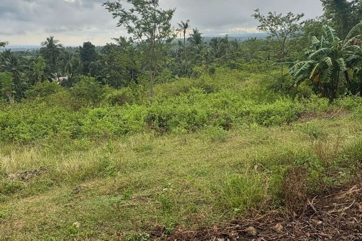 Land for Sale in Poblacion, Argao, Cebu – photo 8