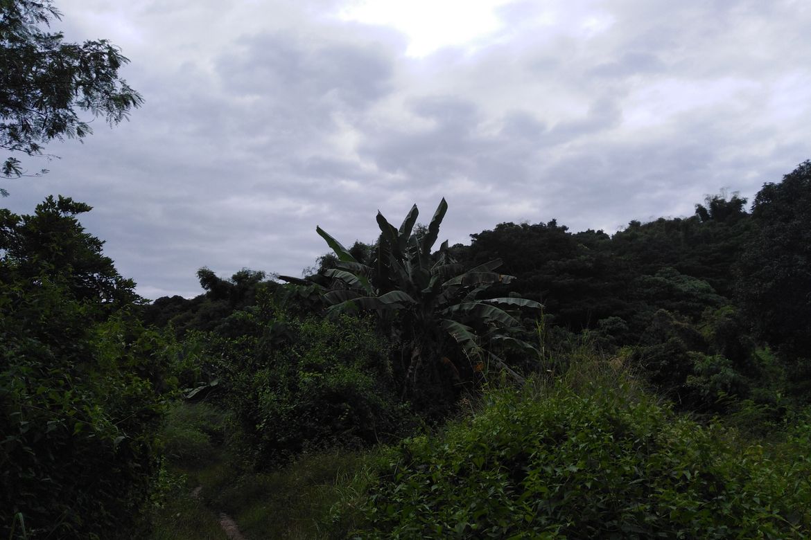 Land for Sale in Poblacion, Aringay, La Union – photo 5