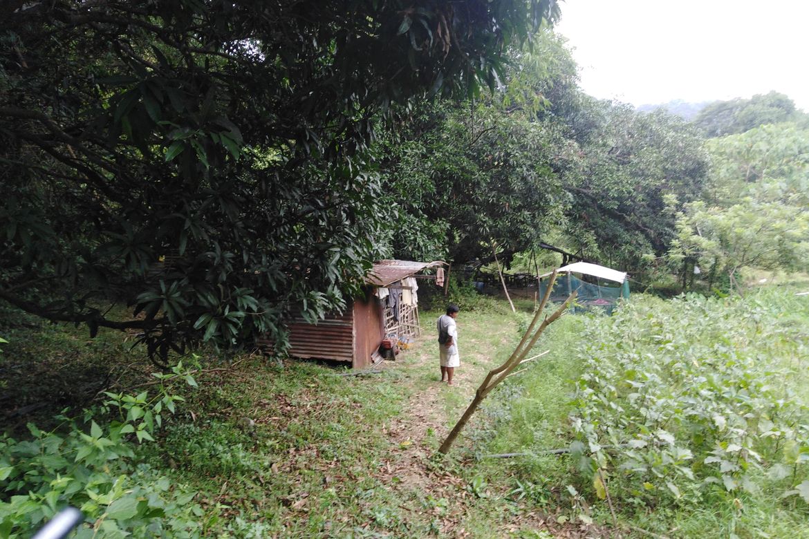 Land for Sale in Poblacion, Aringay, La Union – photo 7