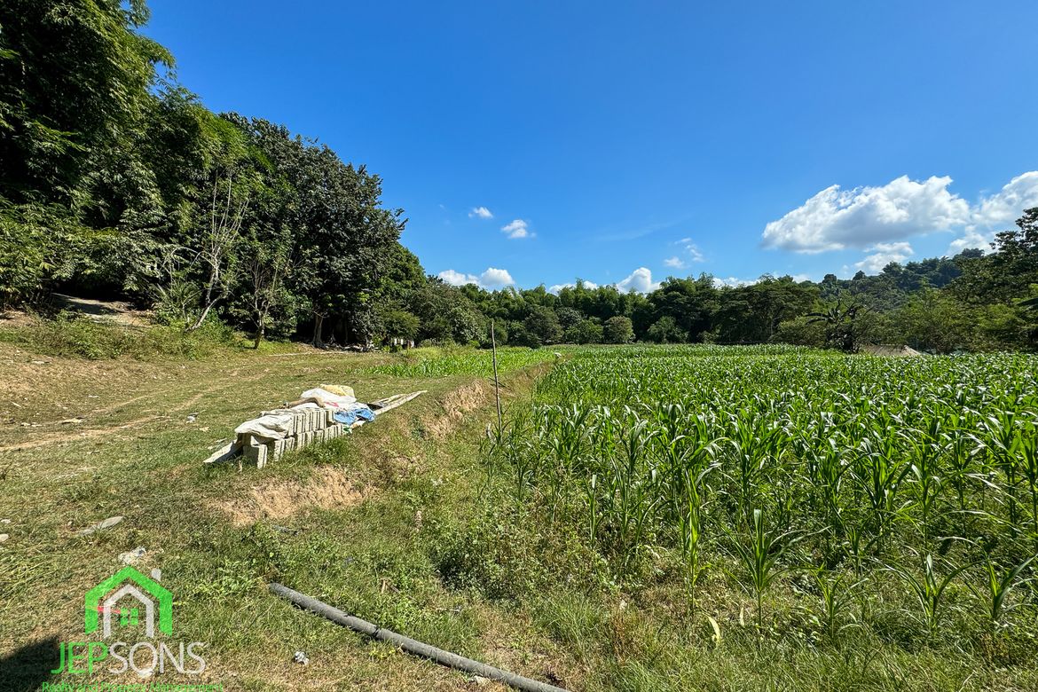 Land for Sale in Poblacion, Aringay, La Union – photo 3