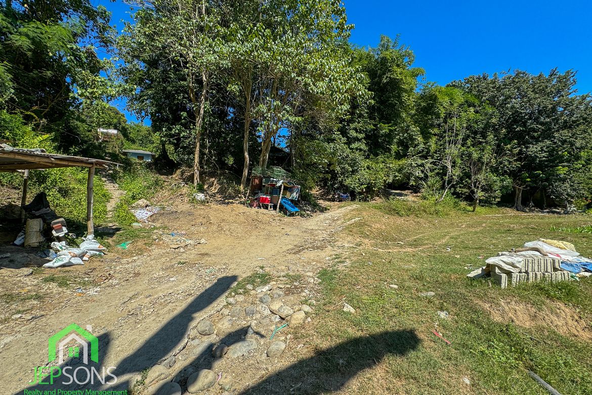 Land for Sale in Poblacion, Aringay, La Union – photo 5