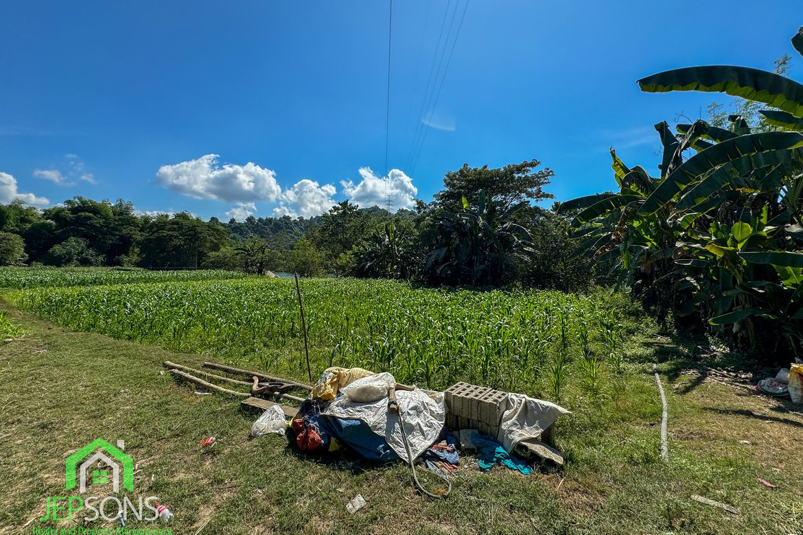 Land for Sale in Poblacion, Aringay, La Union – photo 6