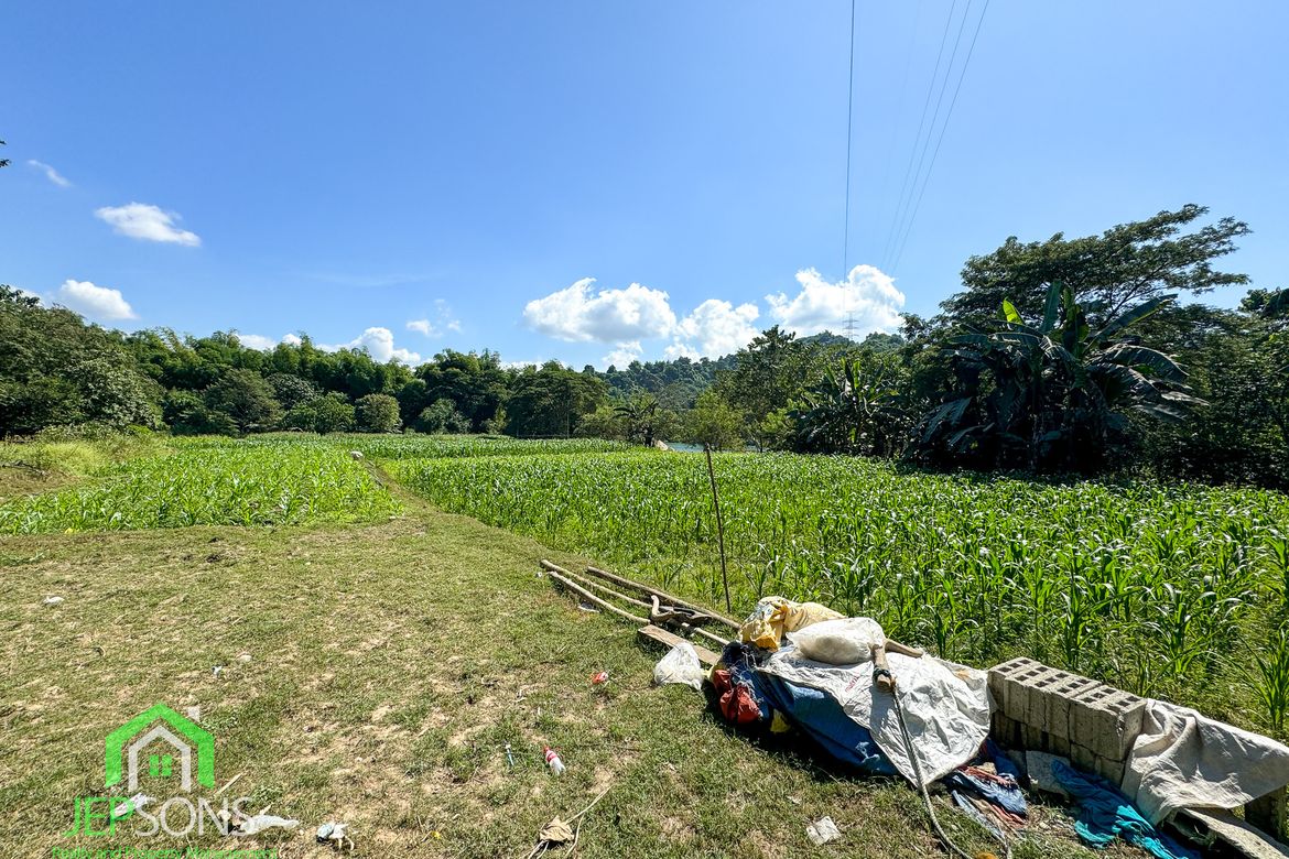 Land for Sale in Poblacion, Aringay, La Union – photo 7