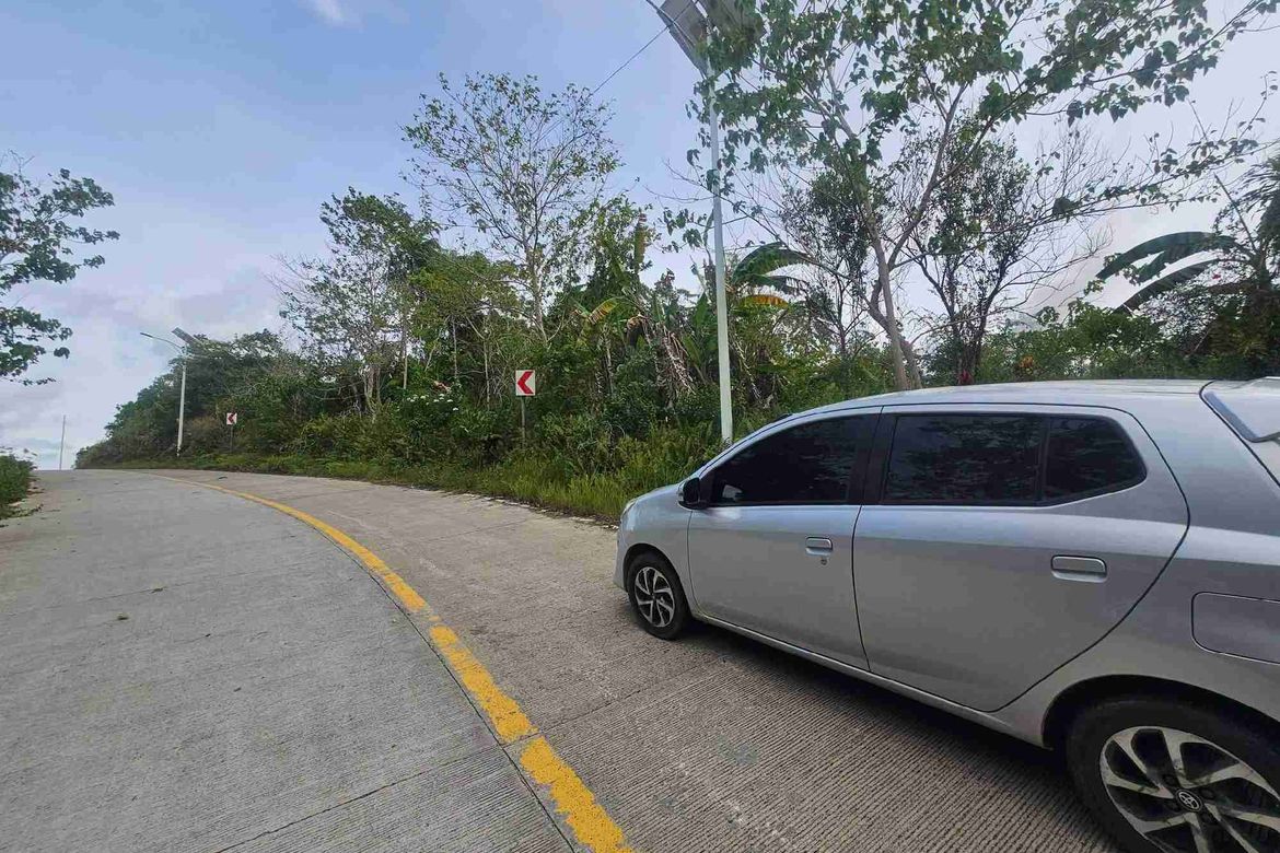 Land for Sale in Poblacion, Baclayon, Bohol