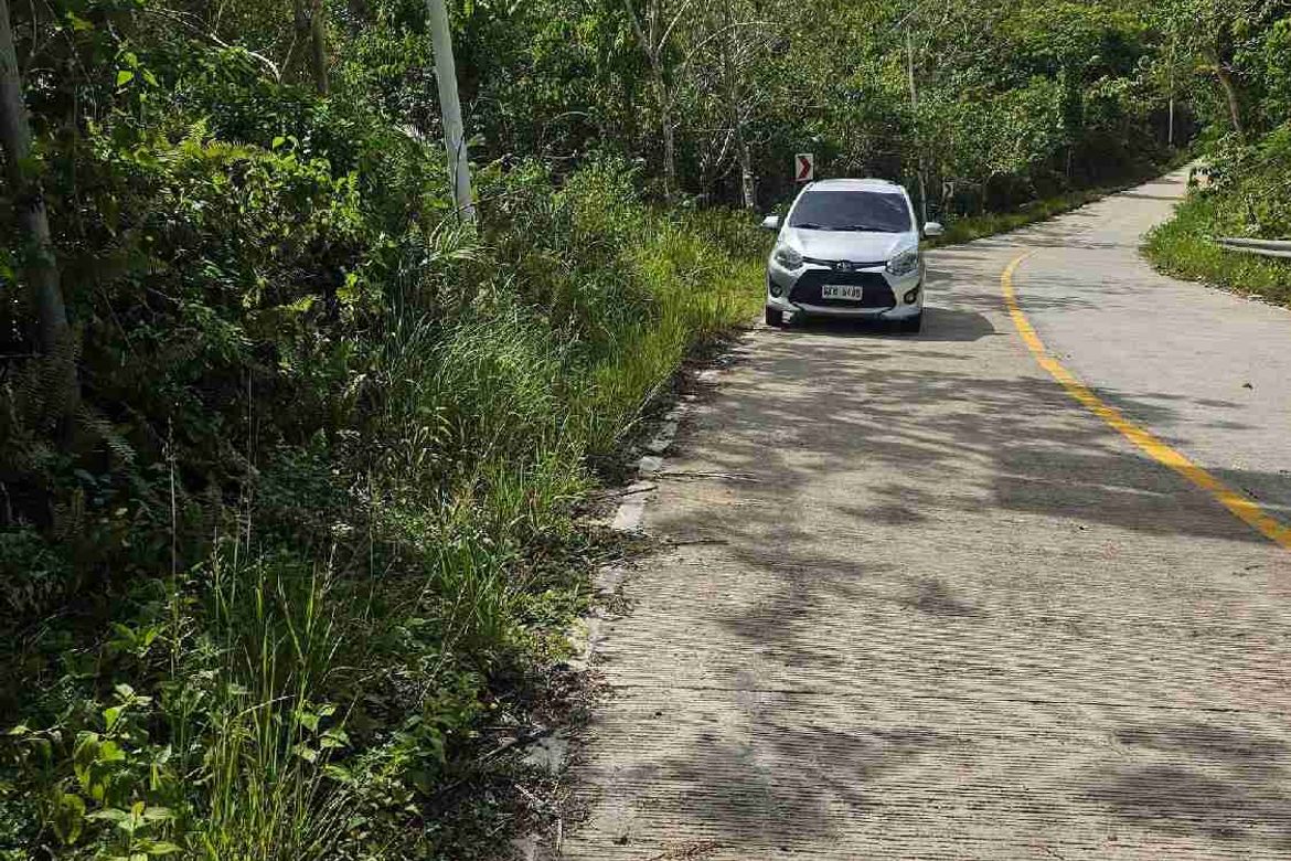 Land for Sale in Poblacion, Baclayon, Bohol – photo 3