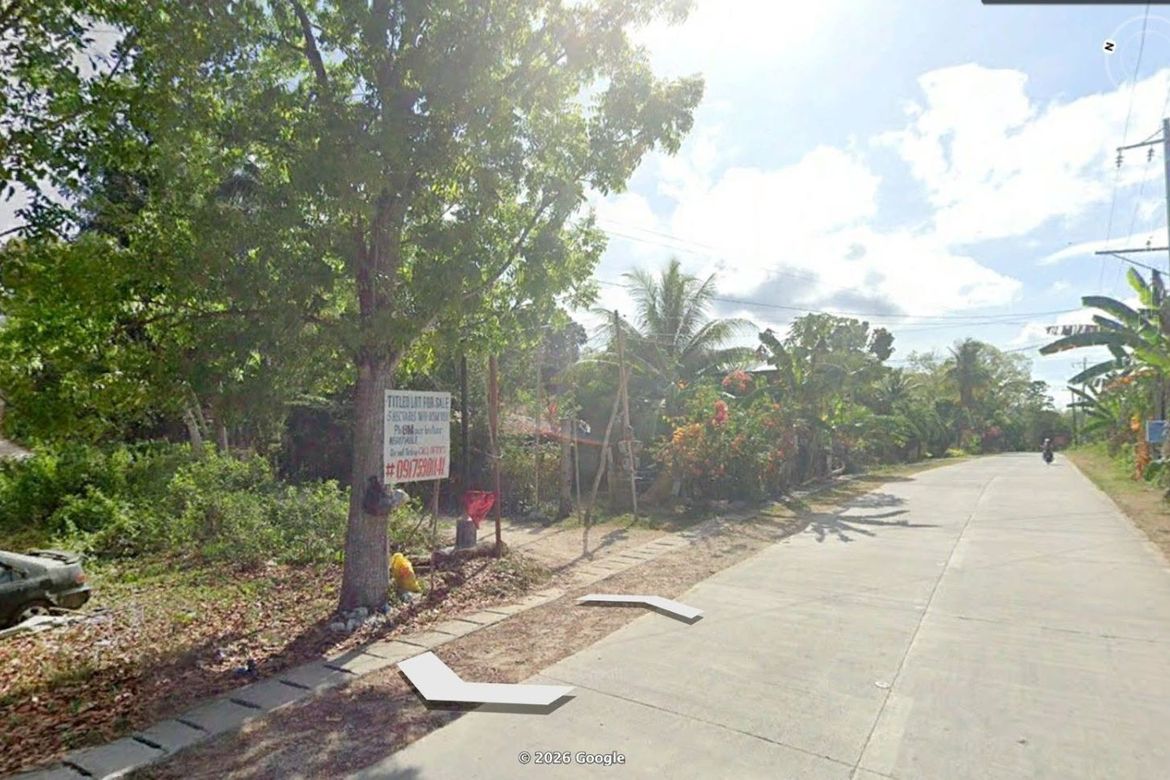 Land for Sale in Poblacion, Baclayon, Bohol – photo 3