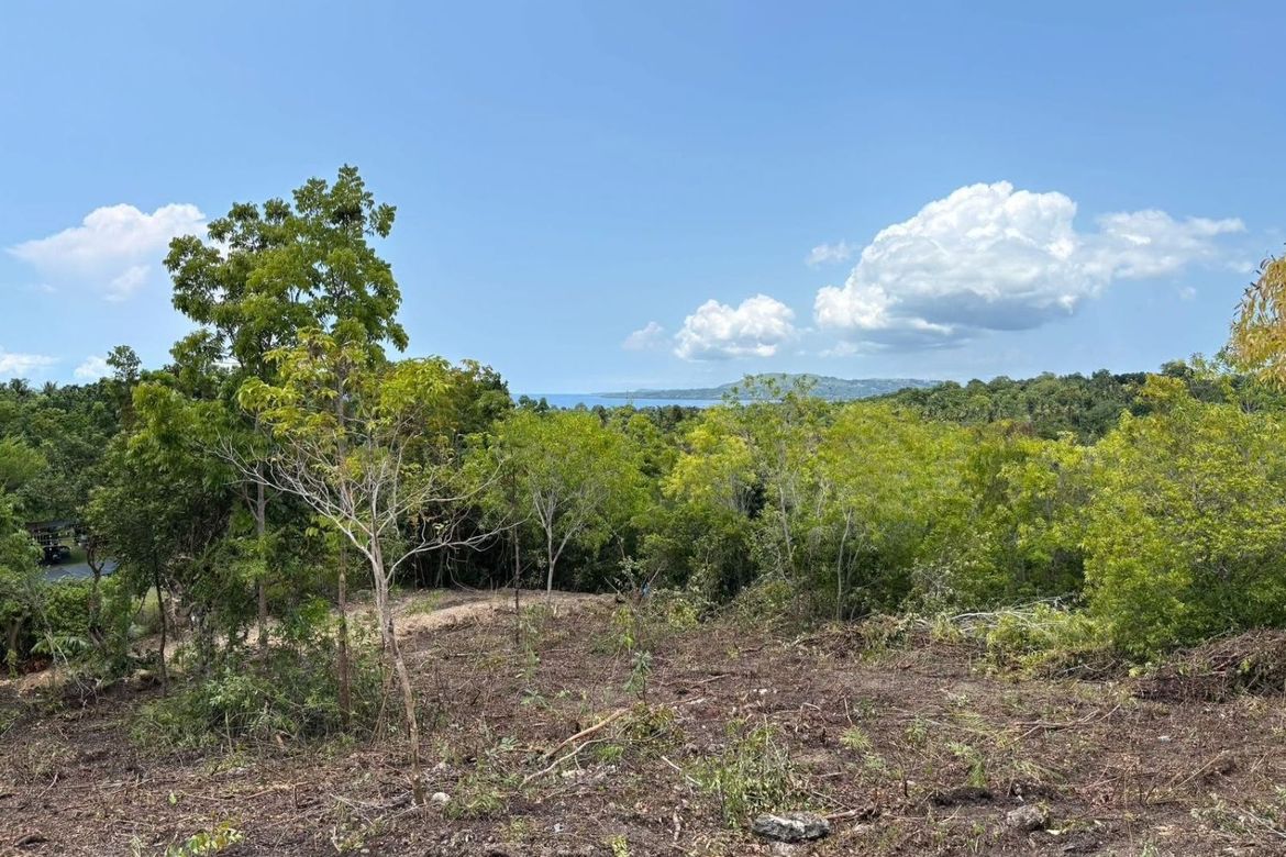 Land for Sale in Poblacion, Baclayon, Bohol – photo 7