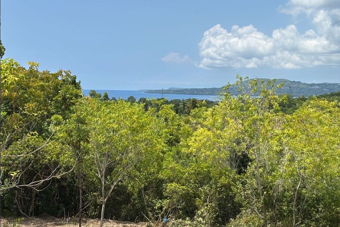 Land for Sale in Poblacion, Baclayon, Bohol – photo 8