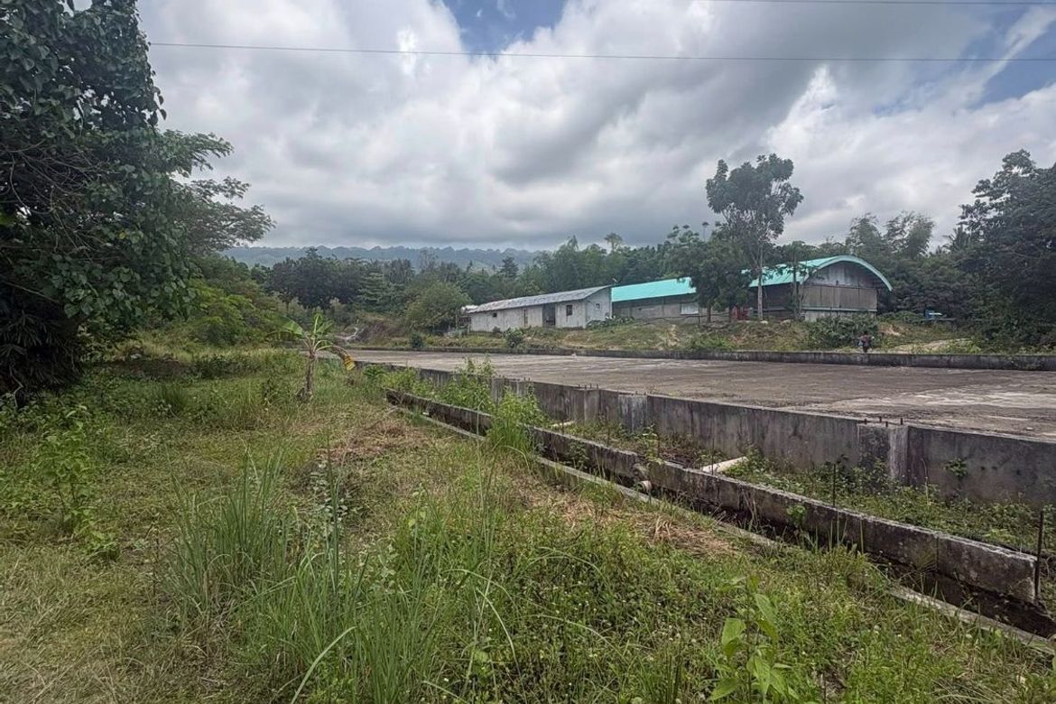 Land for Sale in Poblacion, Badian, Cebu