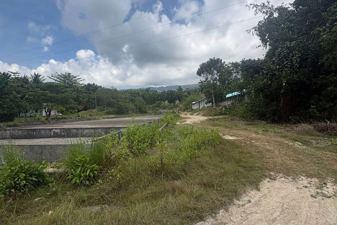 Land for Sale in Poblacion, Badian, Cebu – photo 2