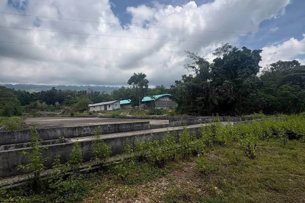 Land for Sale in Poblacion, Badian, Cebu – photo 4