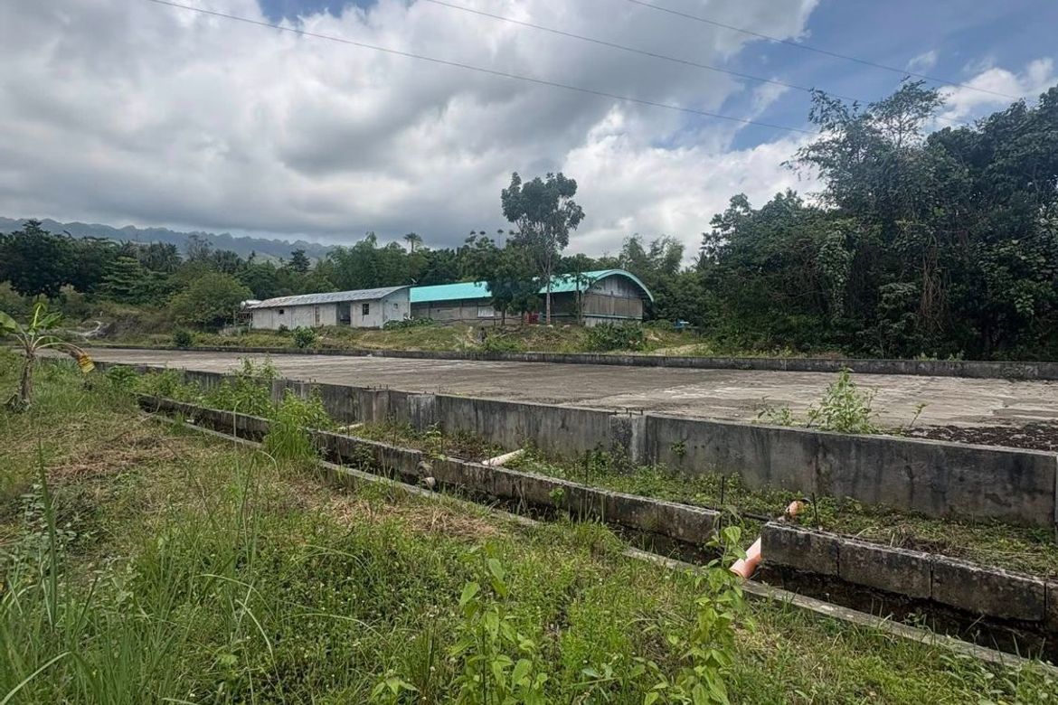 Land for Sale in Poblacion, Badian, Cebu – photo 5