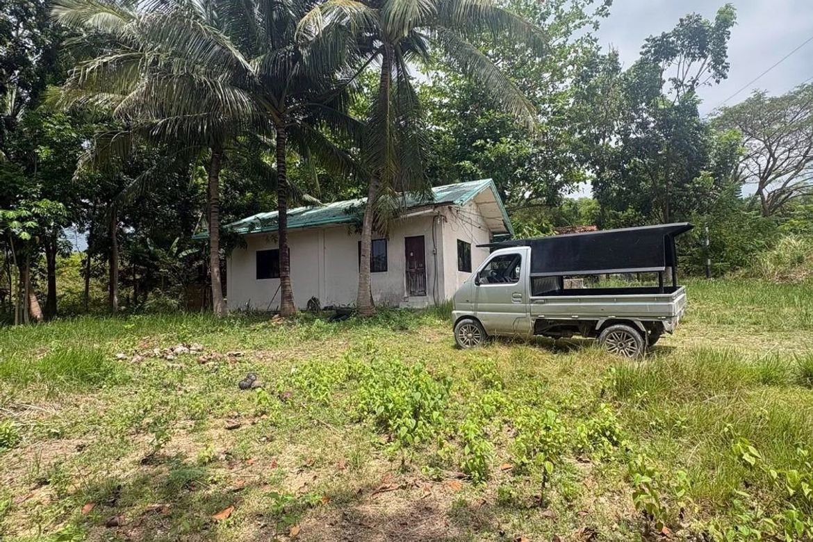 Land for Sale in Poblacion, Badian, Cebu – photo 8
