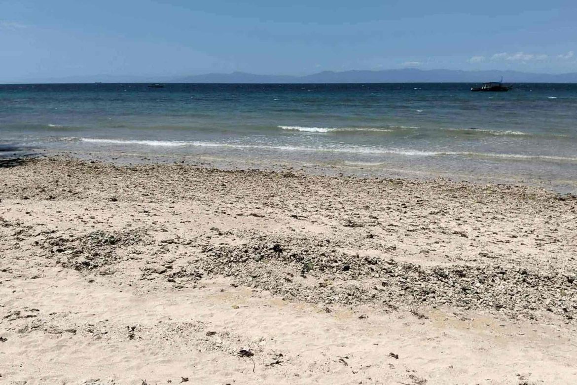 Land for Sale in Poblacion, Badian, Cebu – photo 3