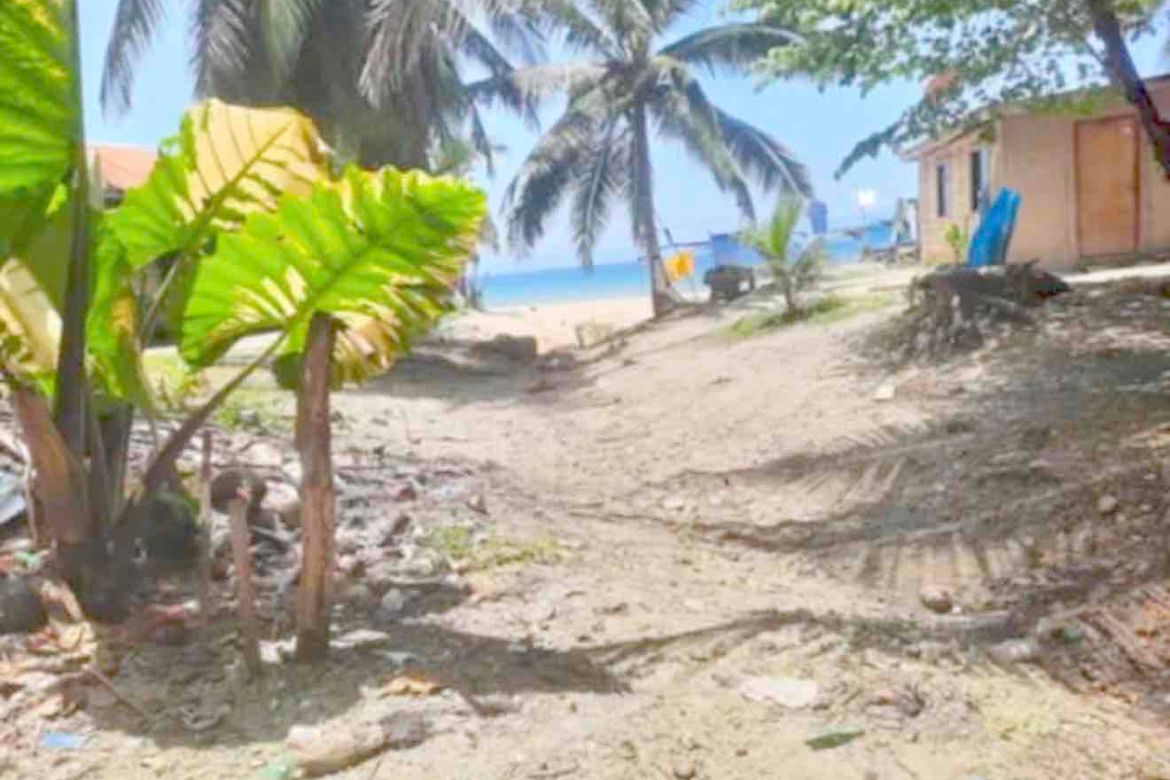 Land for Sale in Poblacion, Badian, Cebu