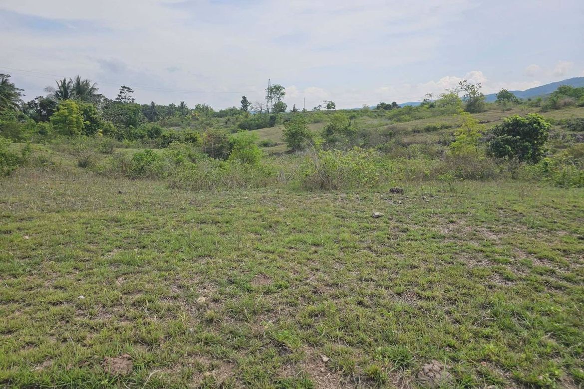 Land for Sale in Poblacion, Badian, Cebu – photo 3
