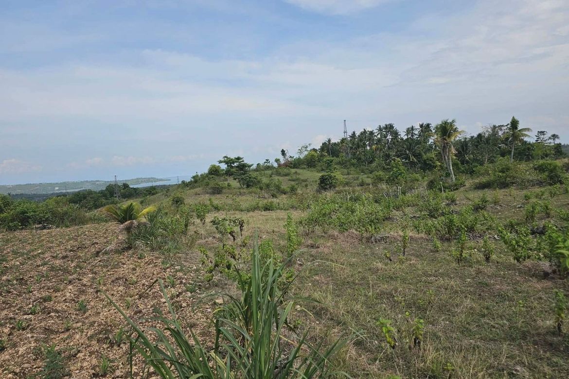 Land for Sale in Poblacion, Badian, Cebu – photo 4
