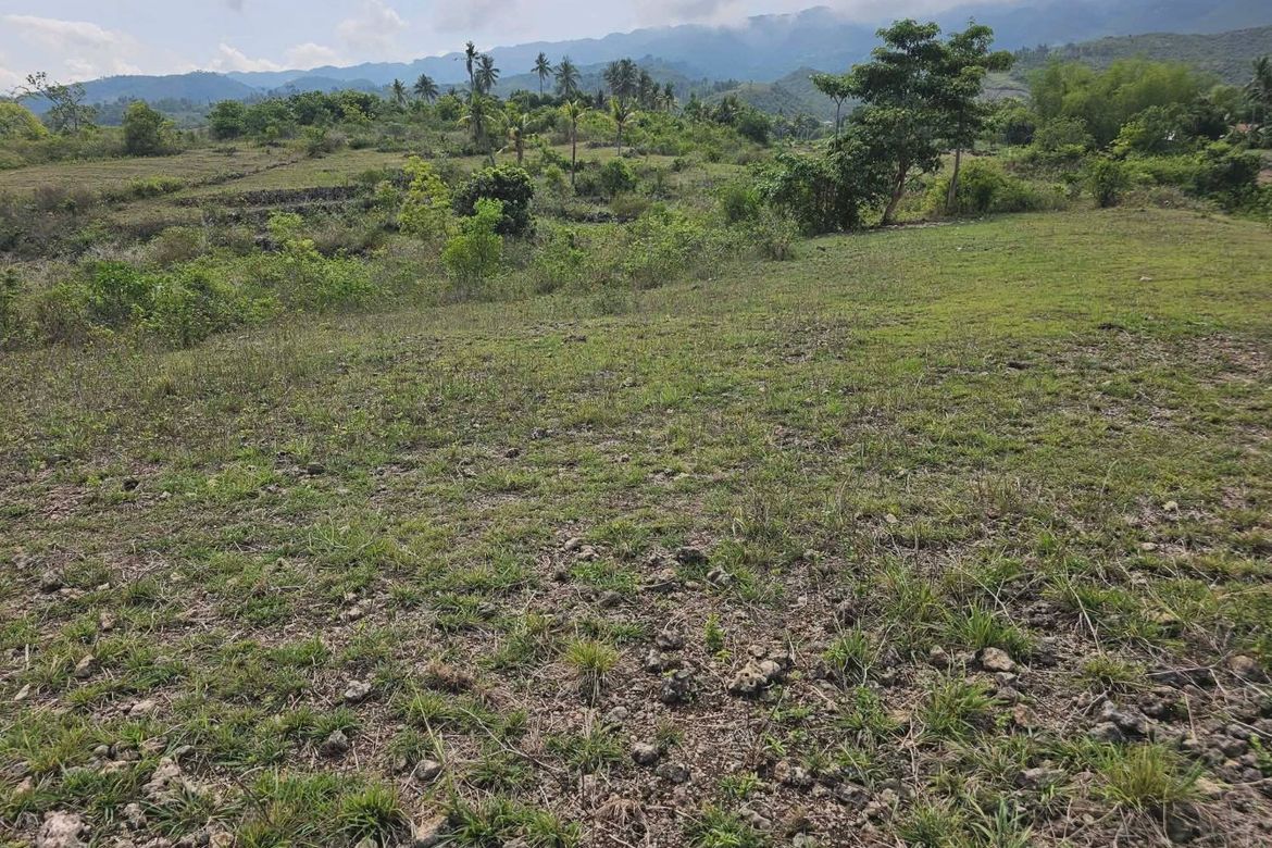 Land for Sale in Poblacion, Badian, Cebu – photo 5