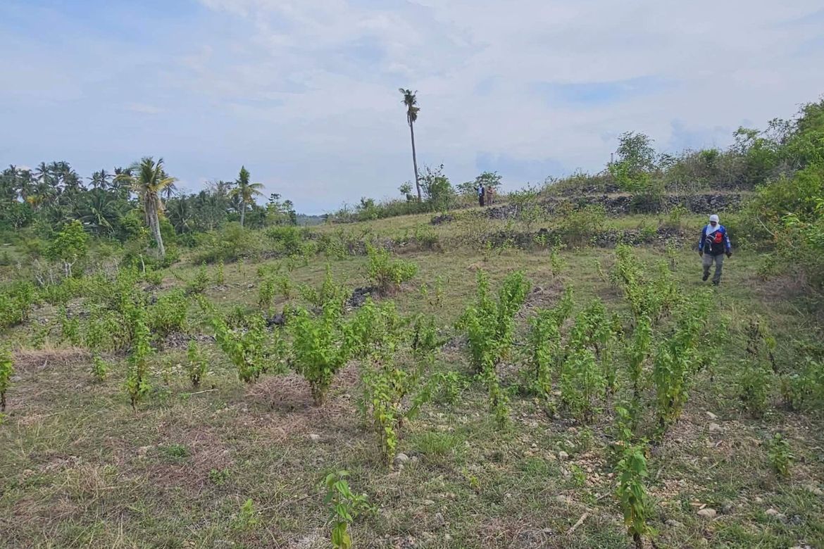 Land for Sale in Poblacion, Badian, Cebu – photo 7