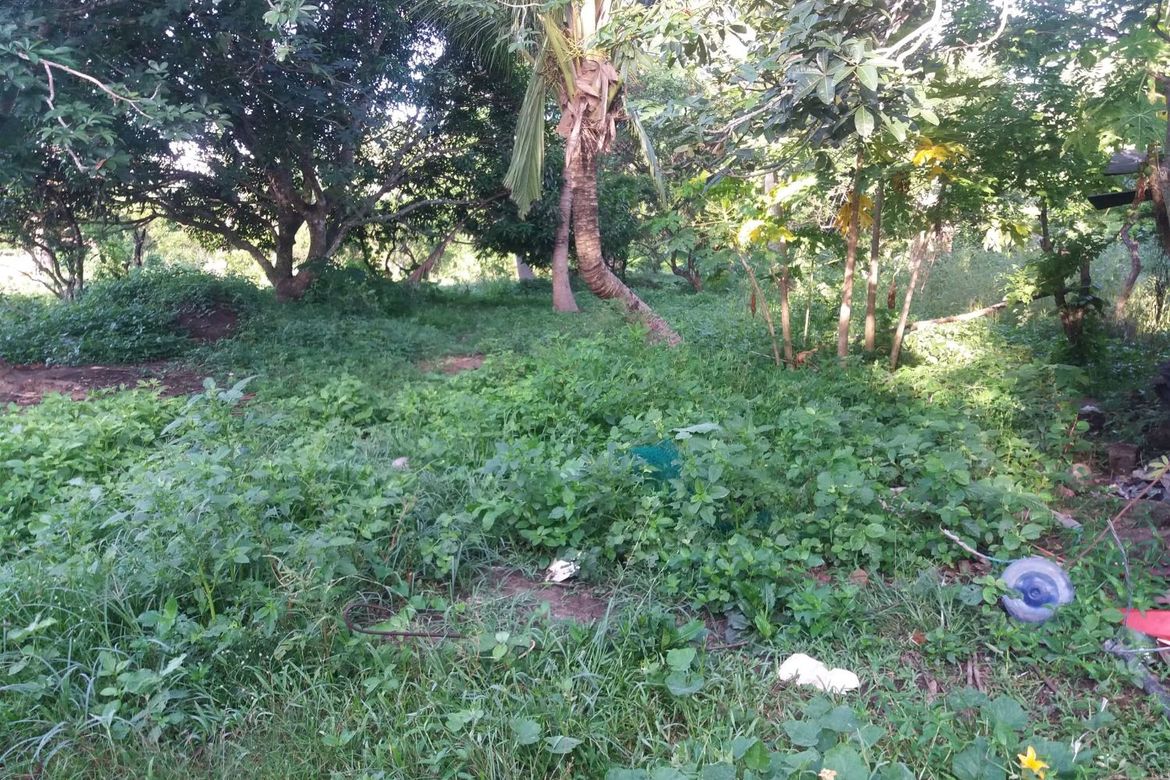 Land for Sale in Poblacion Barangay 6, Lipa, Batangas – photo 2