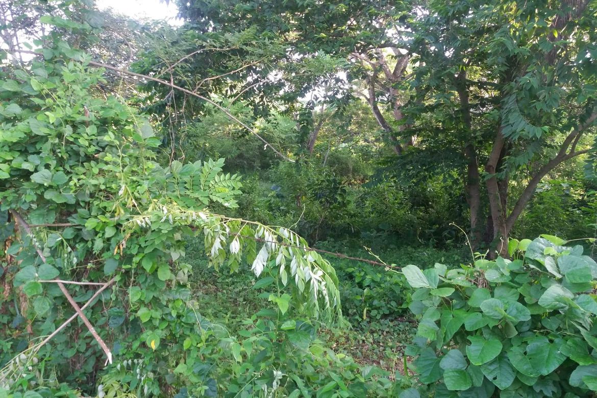 Land for Sale in Poblacion Barangay 6, Lipa, Batangas – photo 5