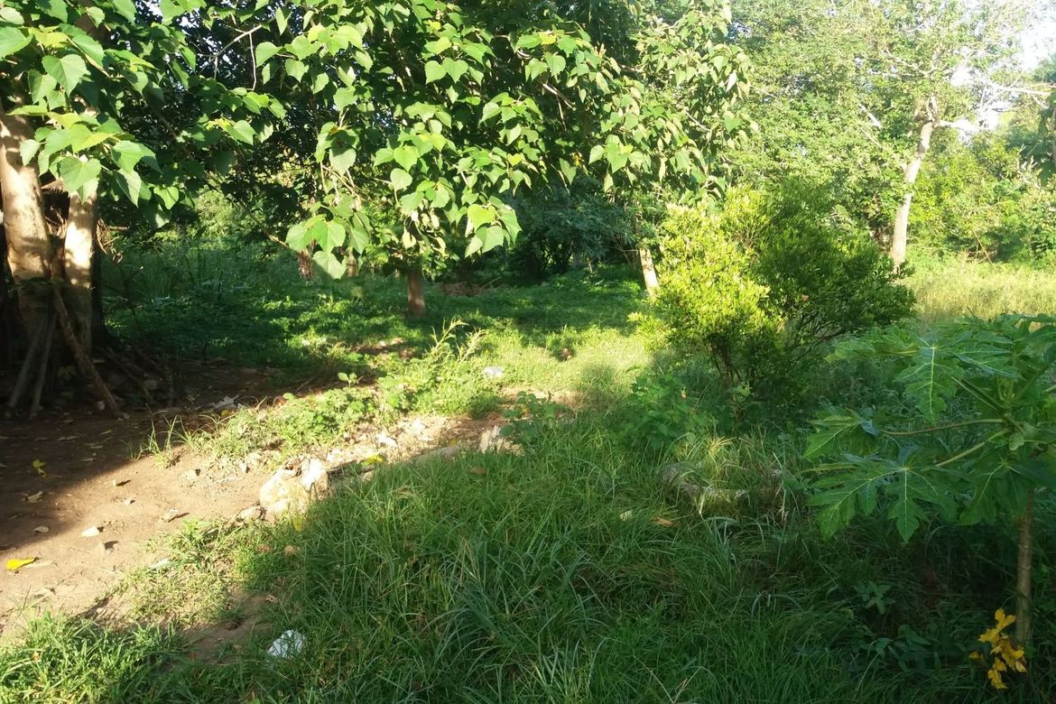 Land for Sale in Poblacion Barangay 6, Lipa, Batangas – photo 7