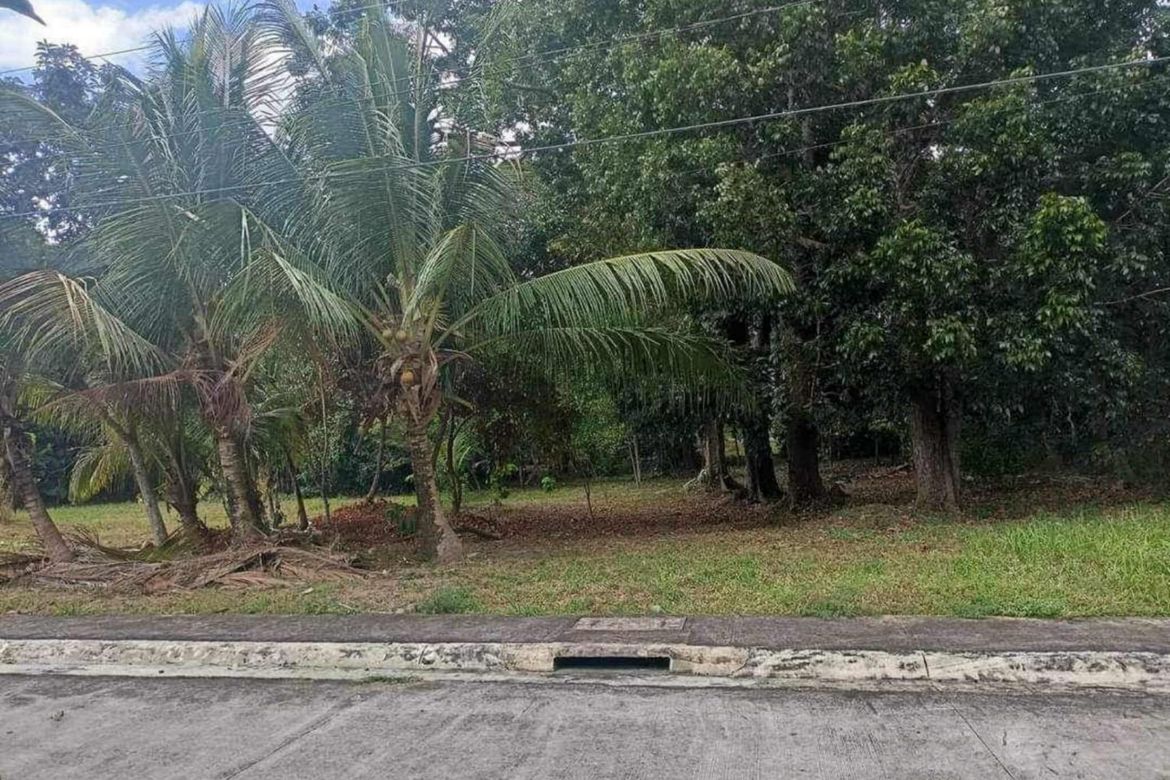 Land for Sale in Poblacion Barangay 6, Lipa, Batangas