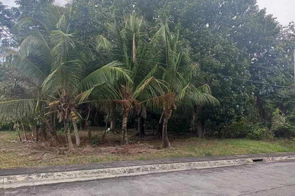 Land for Sale in Poblacion Barangay 6, Lipa, Batangas – photo 2