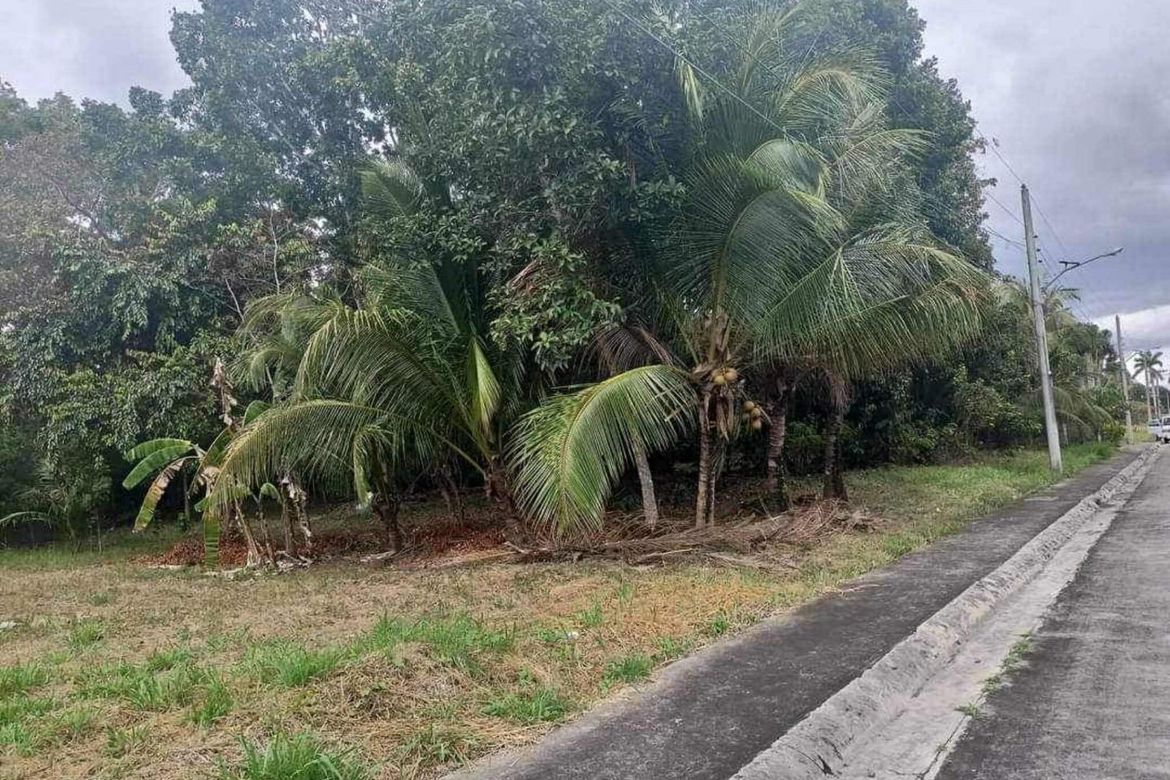 Land for Sale in Poblacion Barangay 6, Lipa, Batangas – photo 3