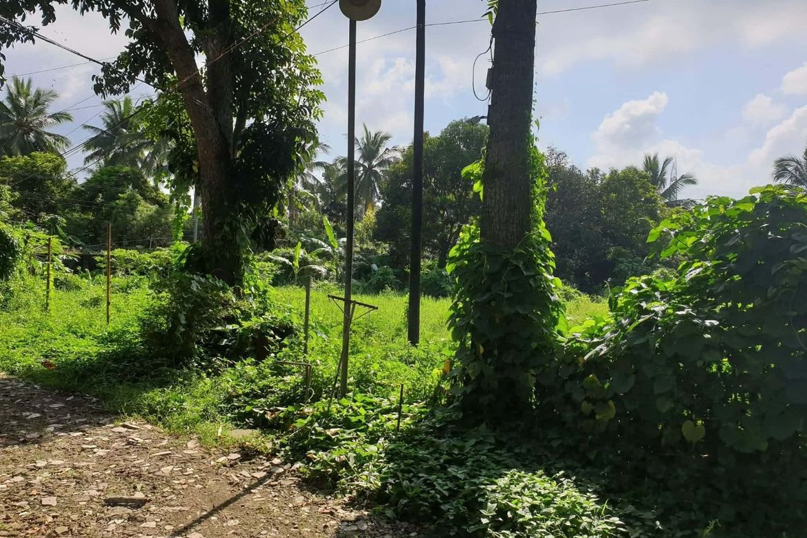 Land for Sale in Poblacion Barangay 6, Lipa, Batangas – photo 2