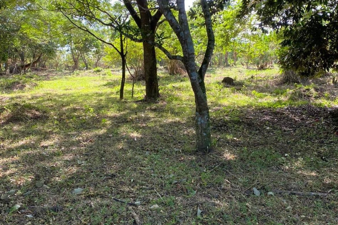 Land for Sale in Poblacion Barangay 6, Lipa, Batangas – photo 2