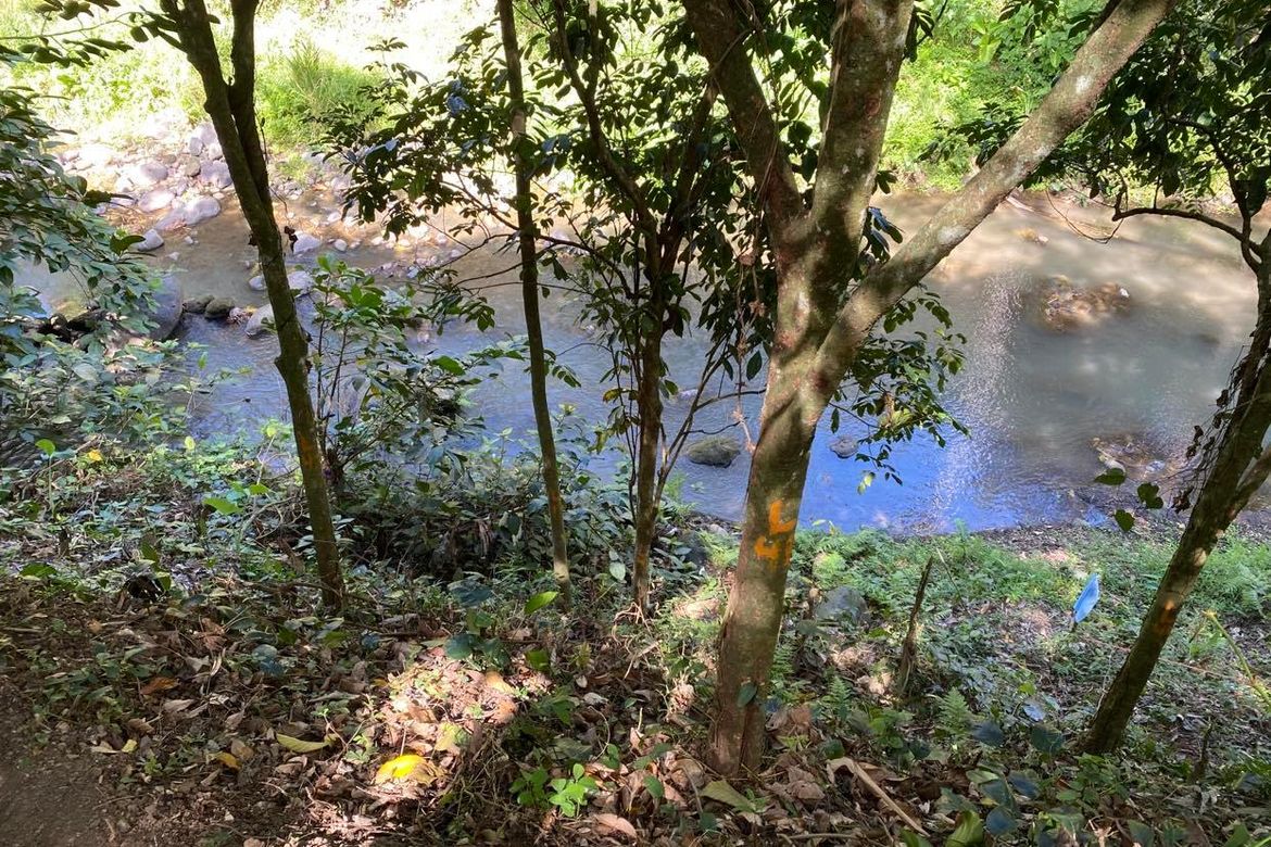 Land for Sale in Poblacion Barangay 6, Lipa, Batangas – photo 5