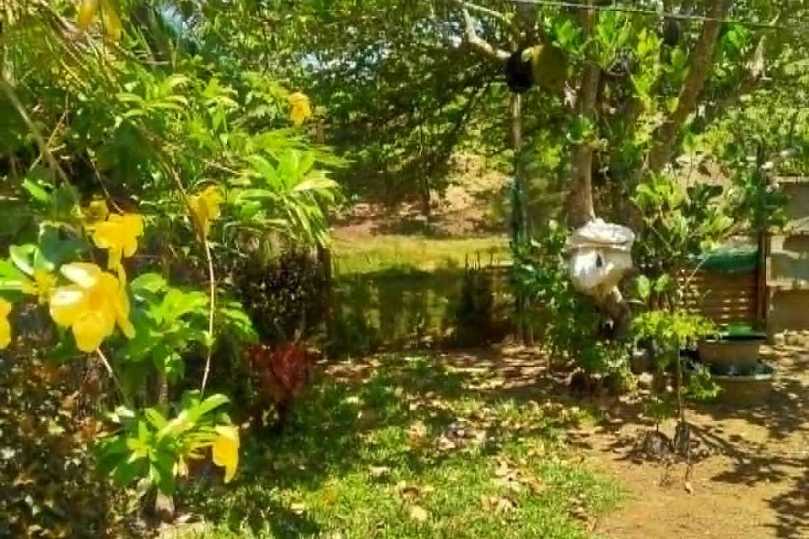 Land for Sale in Poblacion Barangay 7, Tanauan, Batangas – photo 4