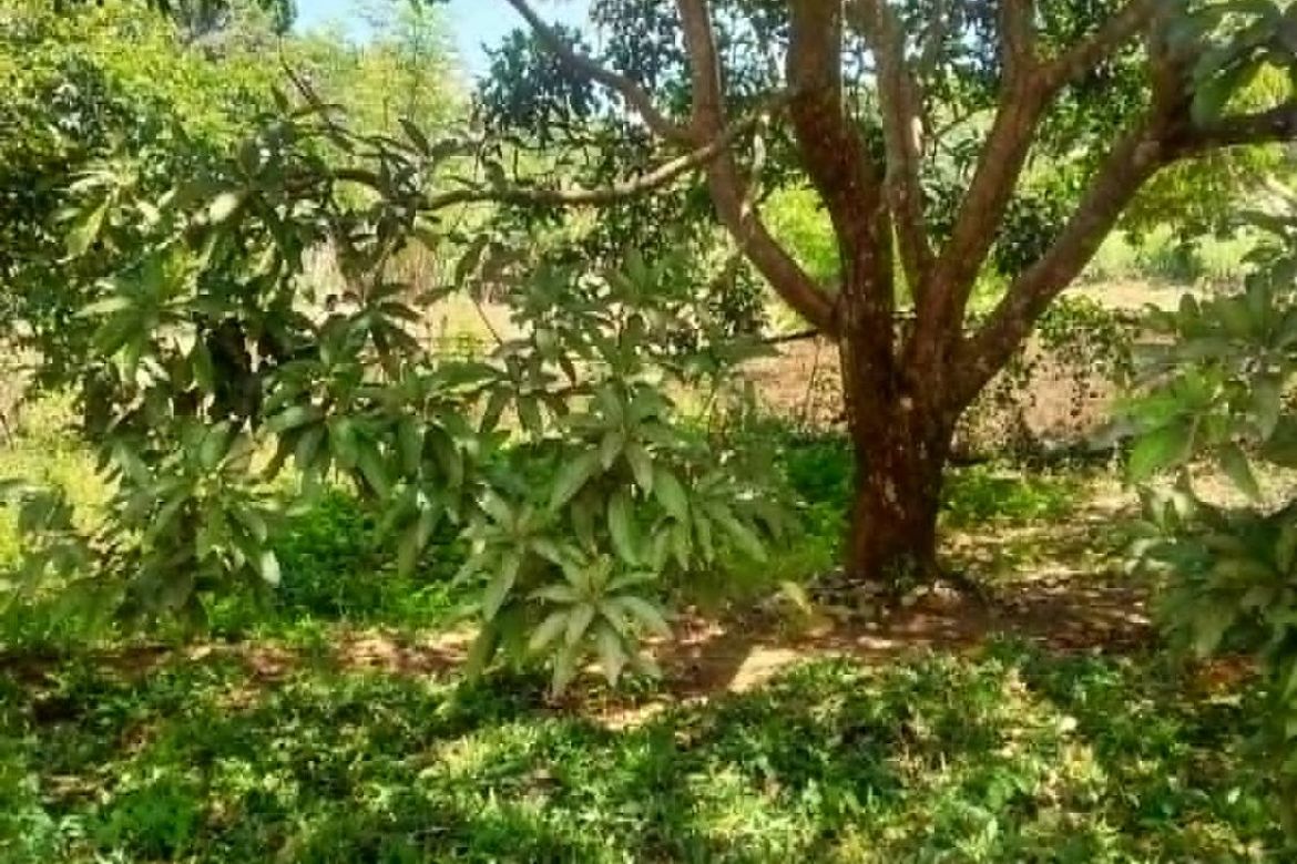 Land for Sale in Poblacion Barangay 7, Tanauan, Batangas – photo 5