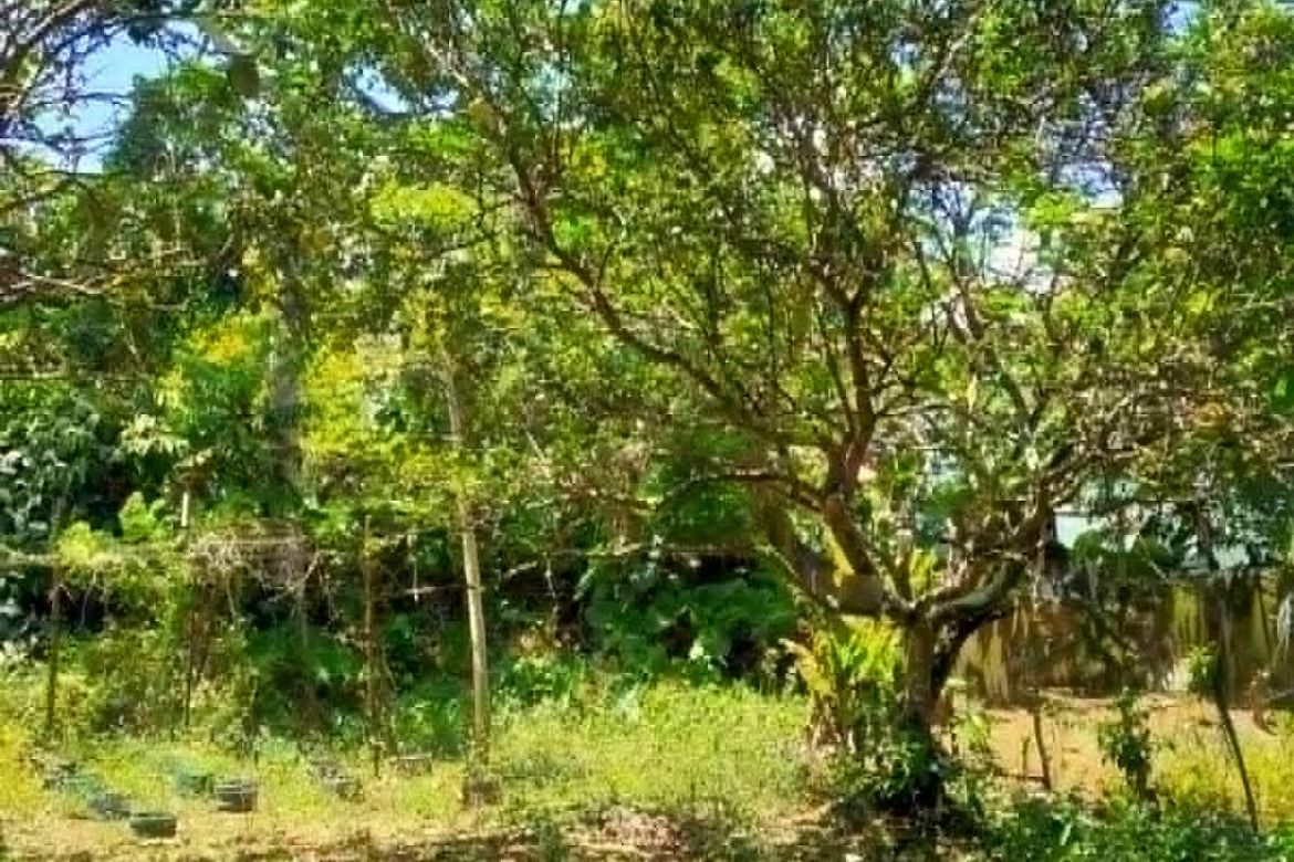 Land for Sale in Poblacion Barangay 7, Tanauan, Batangas – photo 8