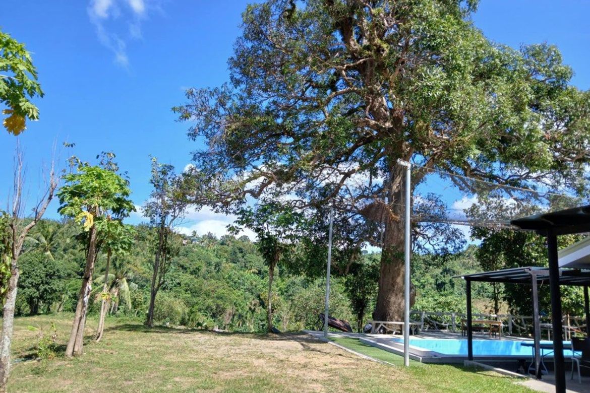 Land for Sale in Poblacion Barangay 7, Tanauan, Batangas – photo 3