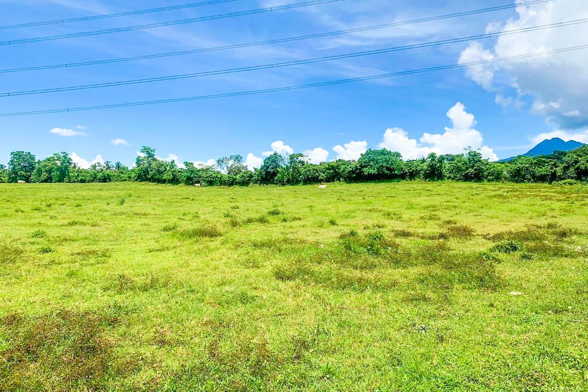 Land for Sale in Poblacion Barangay 7, Tanauan, Batangas