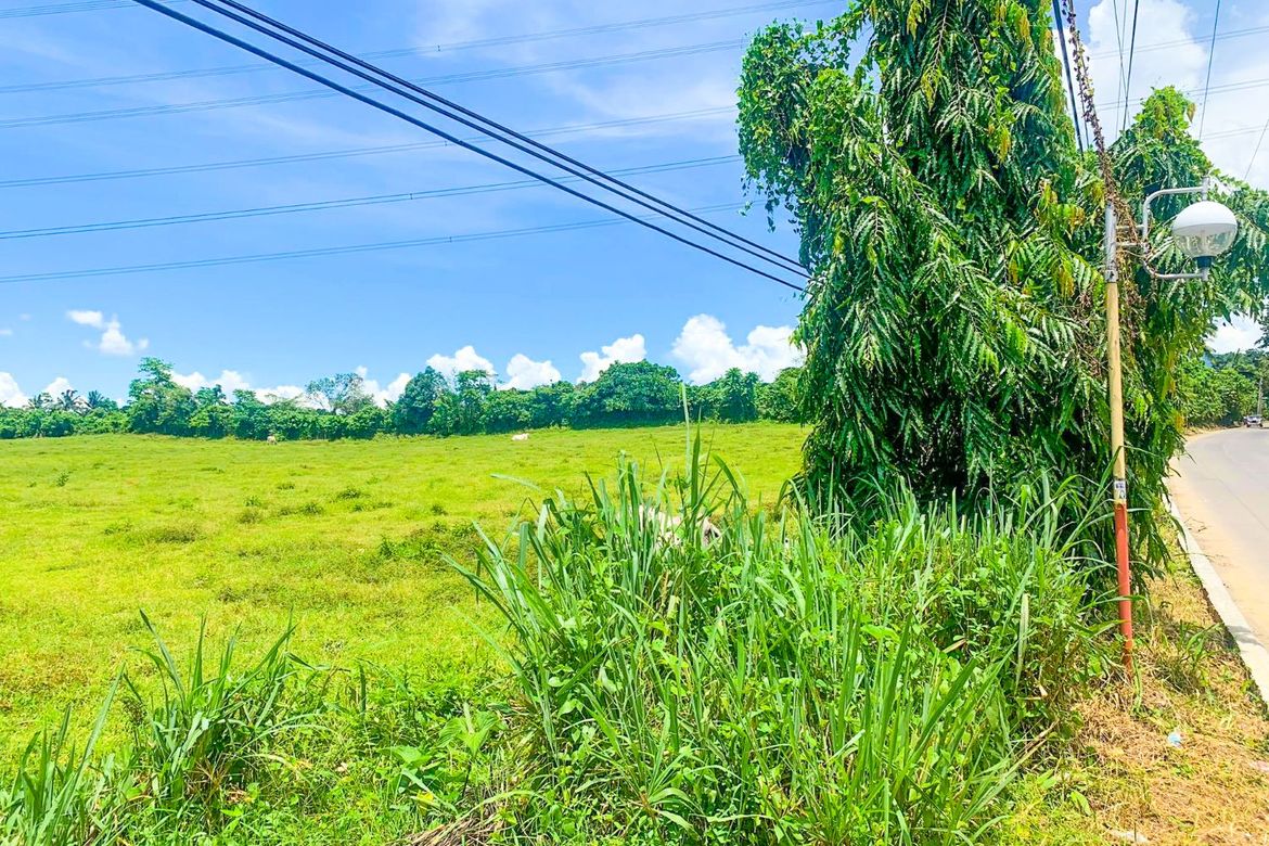 Land for Sale in Poblacion Barangay 7, Tanauan, Batangas – photo 4