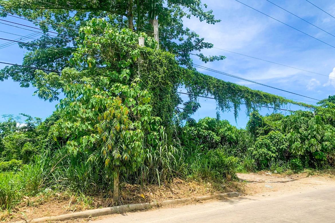 Land for Sale in Poblacion Barangay 7, Tanauan, Batangas – photo 5
