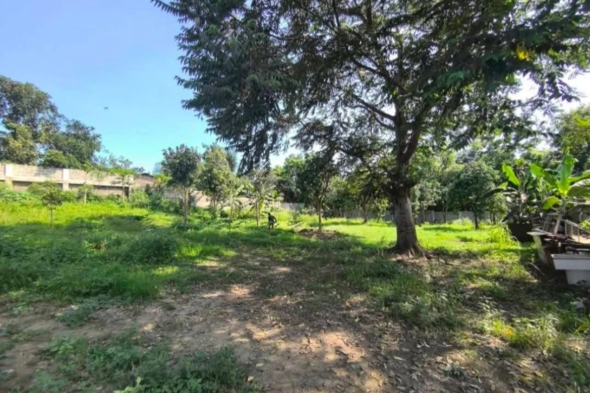 Land for Sale in Poblacion Barangay 7, Tanauan, Batangas – photo 5