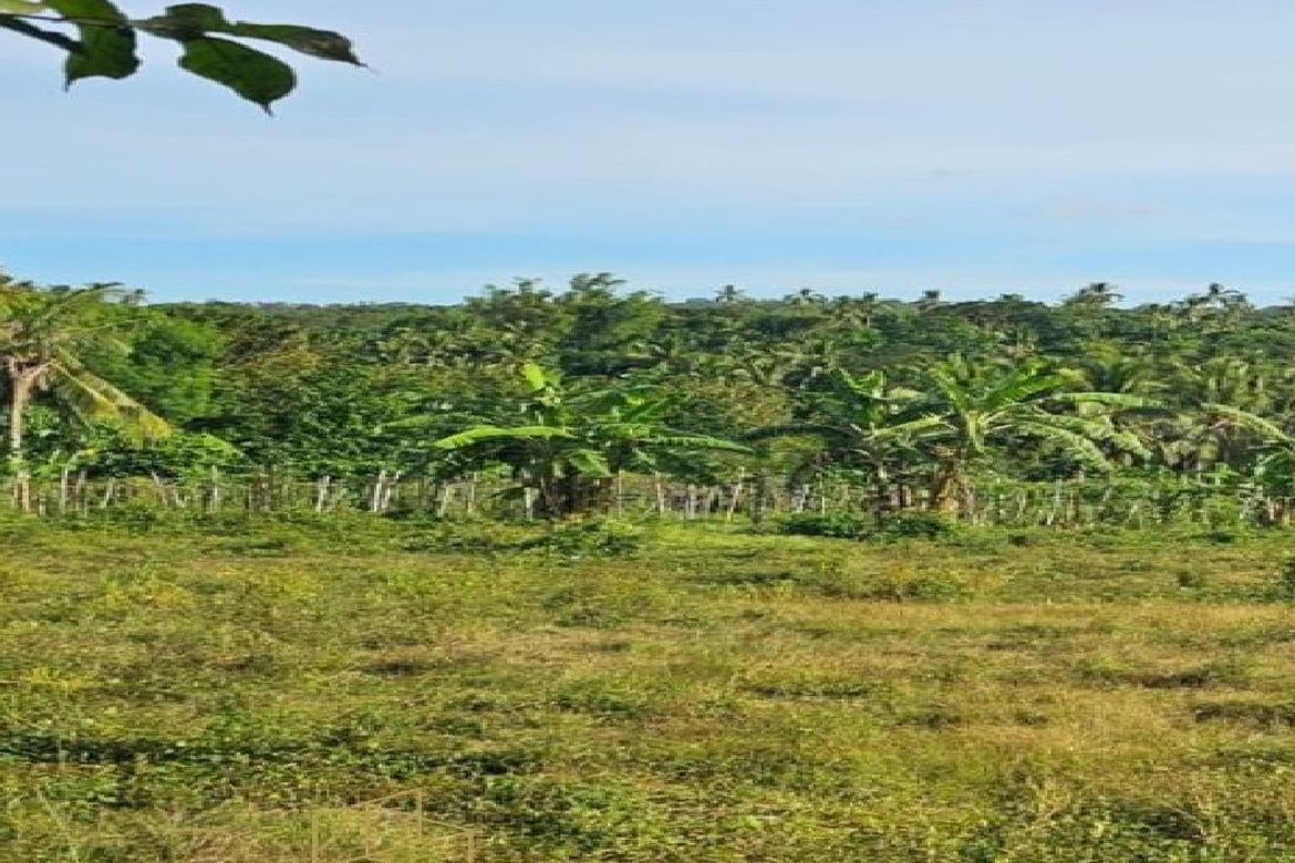 Land for Sale in Poblacion Barangay 7, Tanauan, Batangas