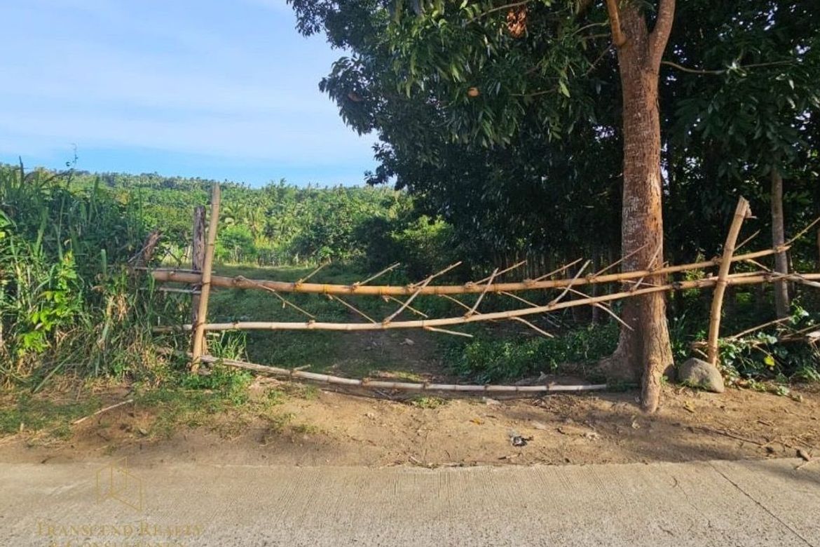 Land for Sale in Poblacion Barangay 7, Tanauan, Batangas – photo 2