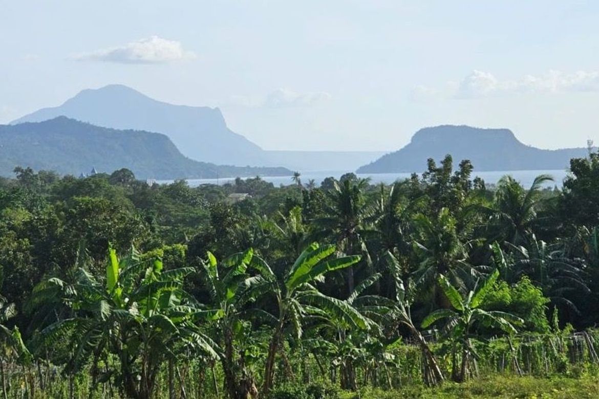 Land for Sale in Poblacion Barangay 7, Tanauan, Batangas – photo 3