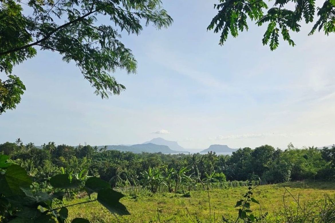 Land for Sale in Poblacion Barangay 7, Tanauan, Batangas – photo 4