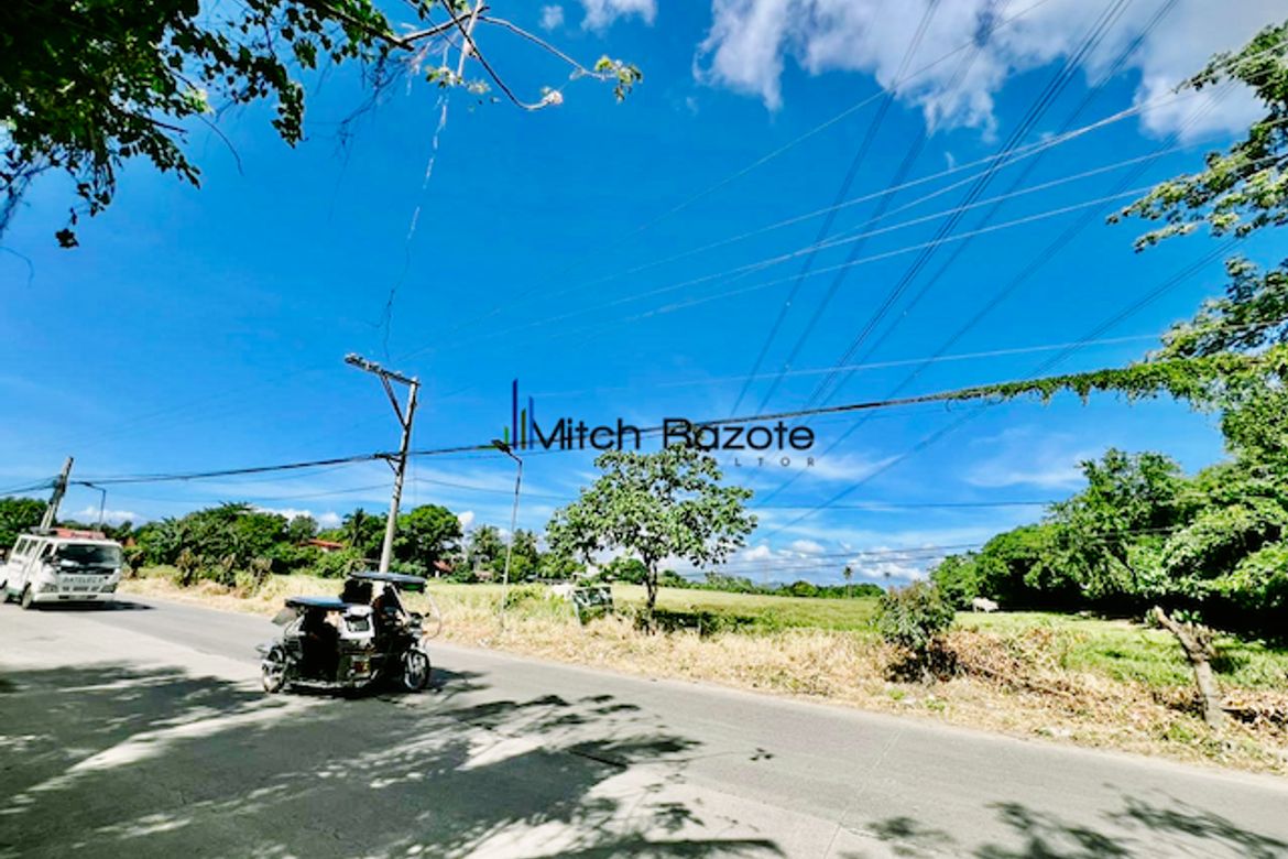 Land for Sale in Poblacion Barangay 7, Tanauan, Batangas – photo 7