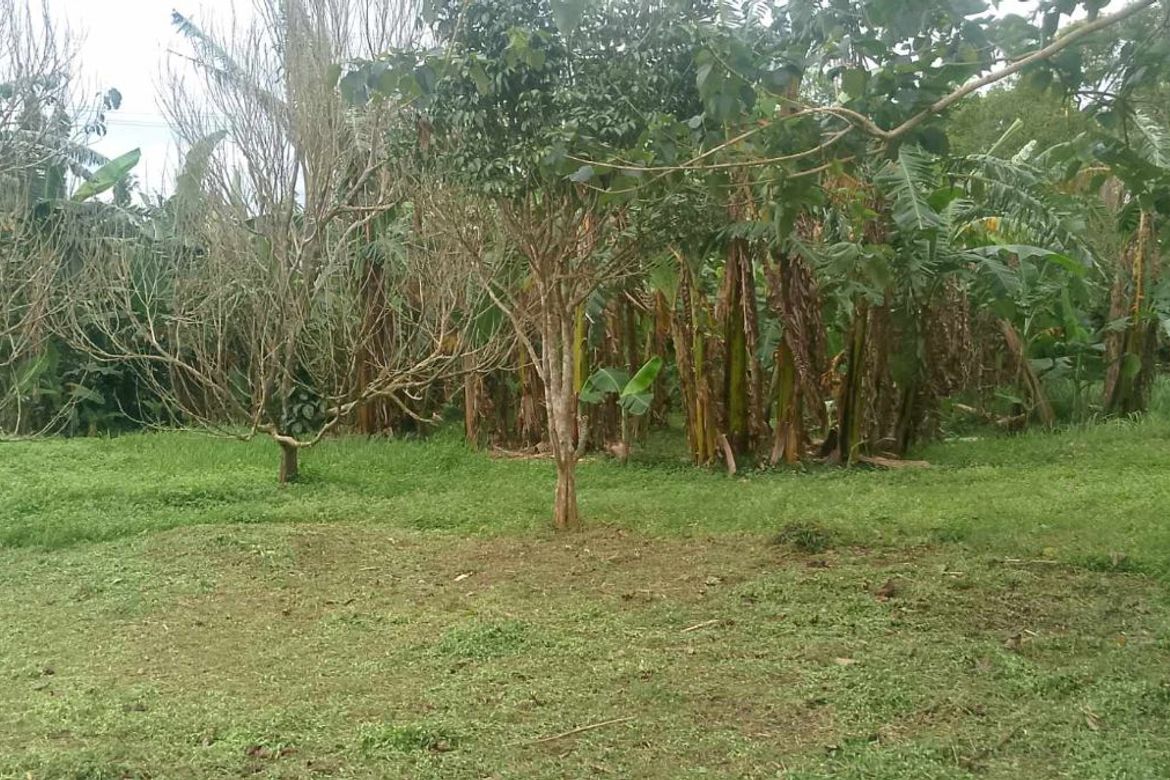 Land for Sale in Poblacion Barangay 9, Lipa, Batangas – photo 2