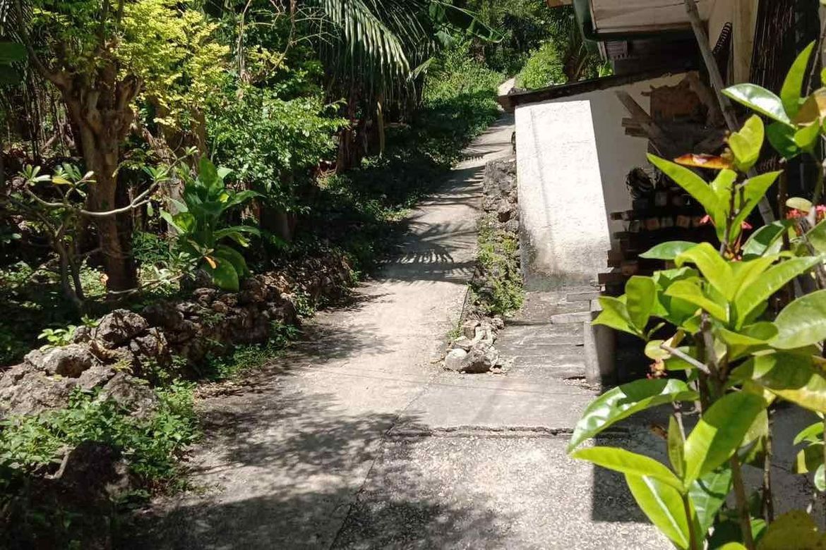 Land for Sale in Poblacion, Boljoon, Cebu – photo 2