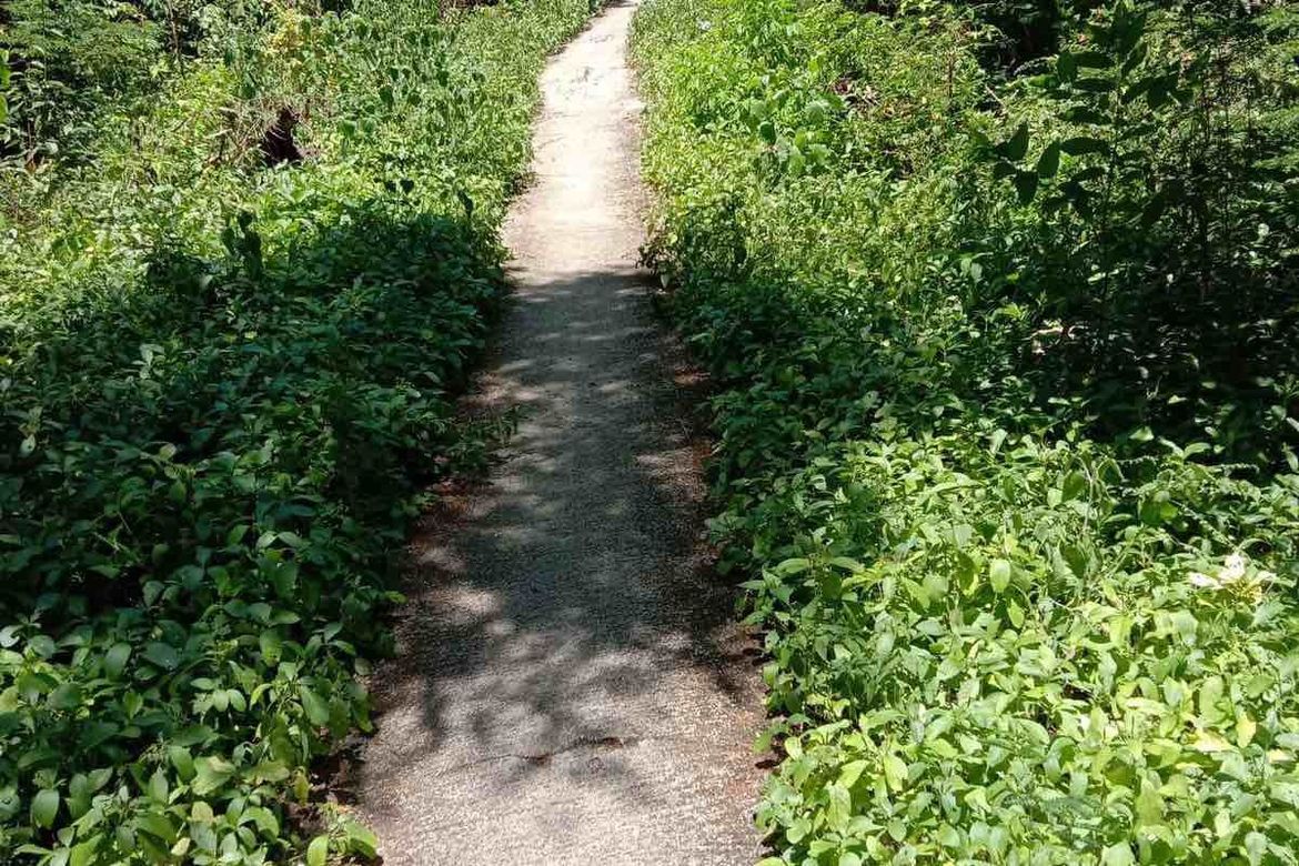Land for Sale in Poblacion, Boljoon, Cebu – photo 5