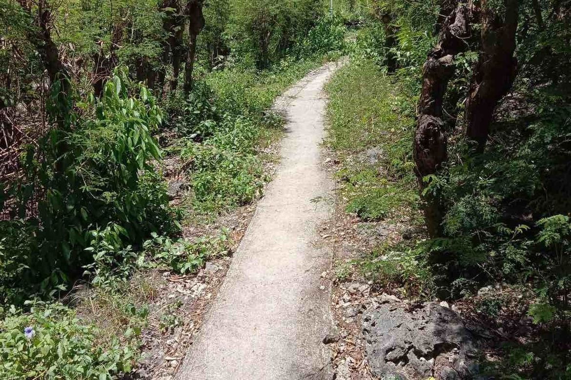Land for Sale in Poblacion, Boljoon, Cebu – photo 6
